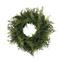 24&#x22; Green Buckler Fern &#x26; Grass Wreath